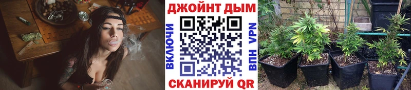 купить наркоту Новое Девяткино Канабис тримм